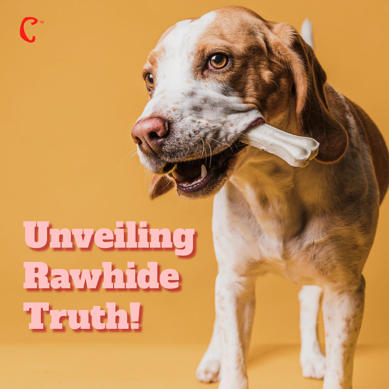 Dispelling the Myths: Rawhide Treats Unveiled