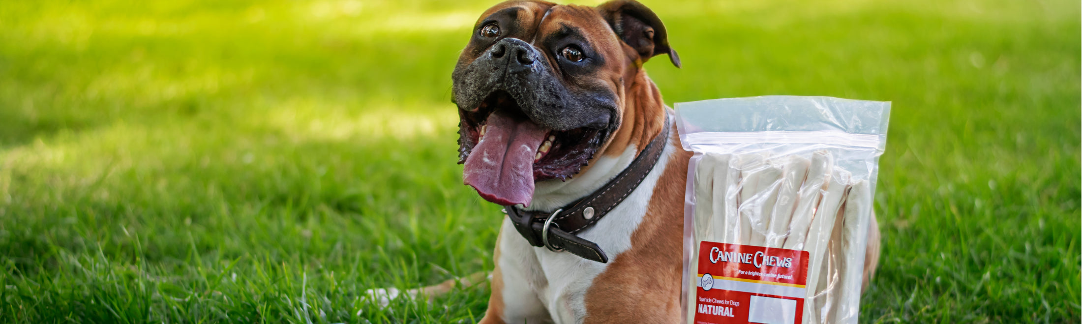 Canine Chews Long lasting and 100 natural rawhide dog treat chews