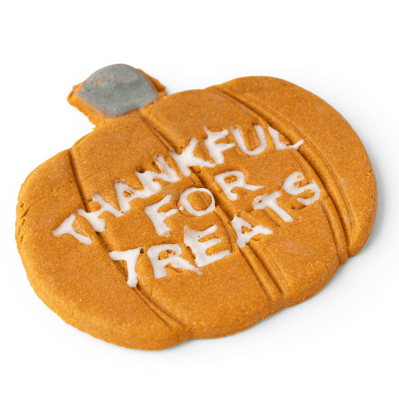 Thanksgiving/Halloween 4" Rawhide Free Pumpkin Shaped Cookie with Thankful for Treats